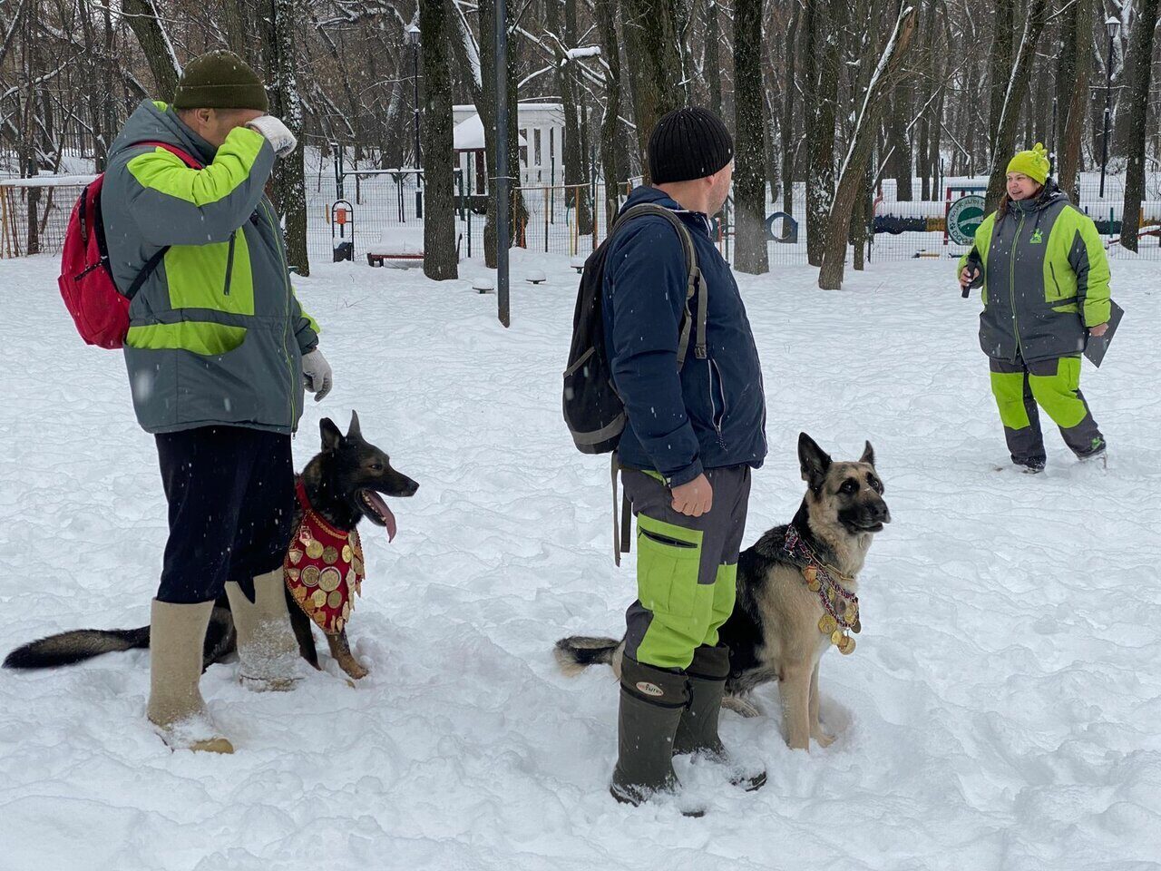 Новости Спортивно Дрессировочной Площадки Ховрино